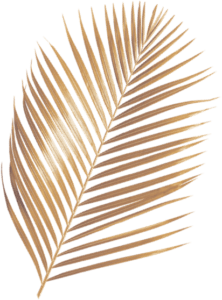 gold plant