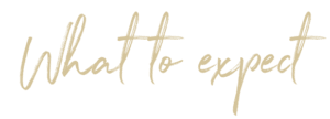 MW Collective Retreat header 4 e1641561857496