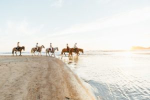 3R1A4927 Horses DJP e1548087073996