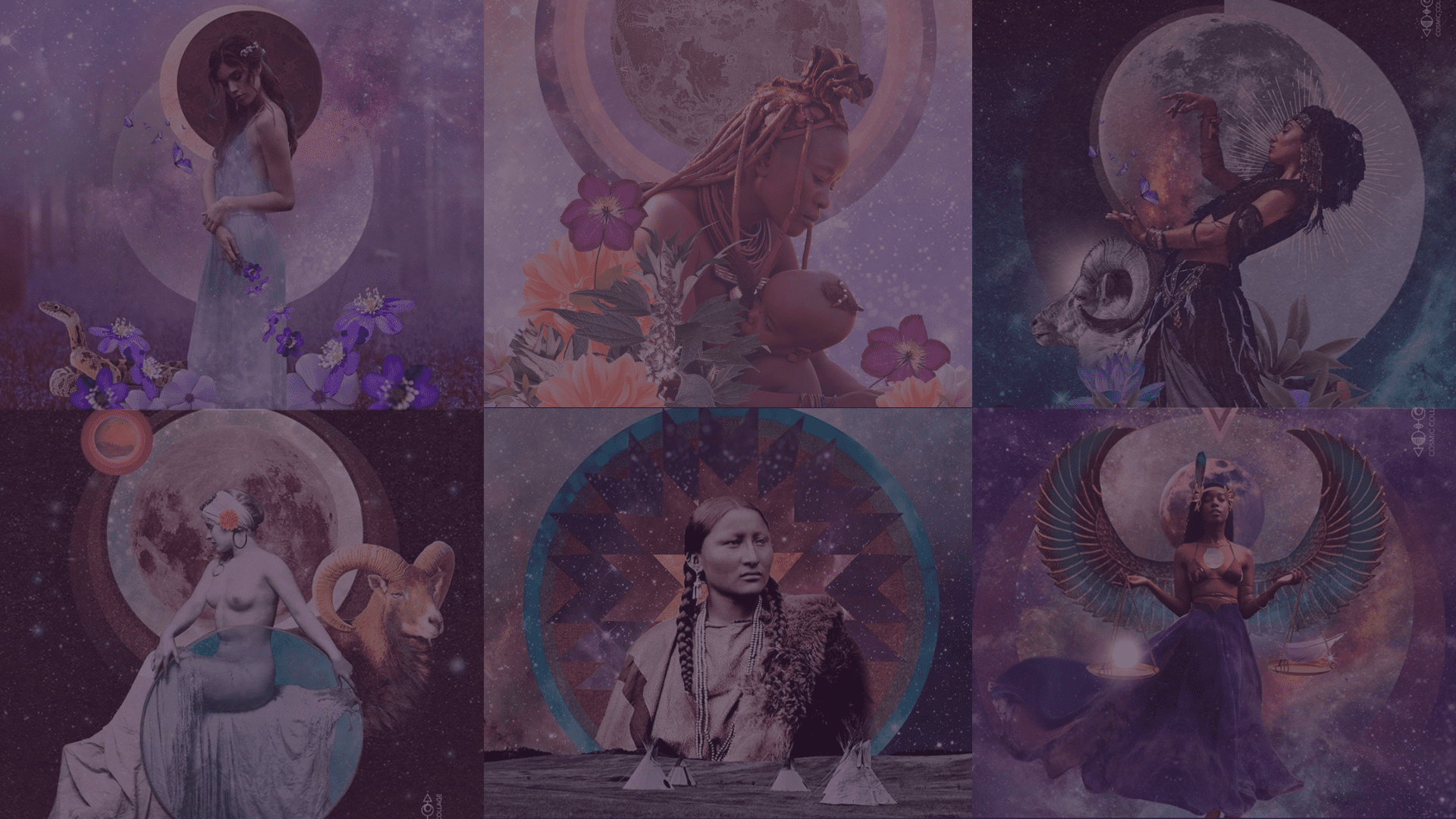 FF Quiz Header - Mel Wells