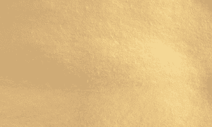 Renaissance Website Assets 3